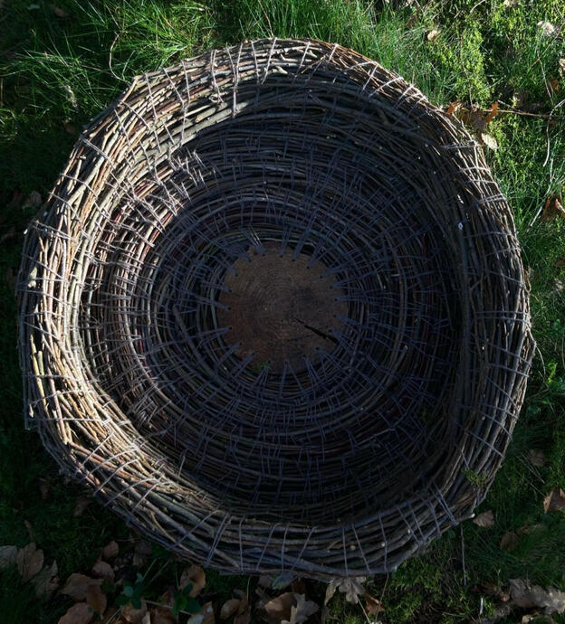 The Feathered Watcher